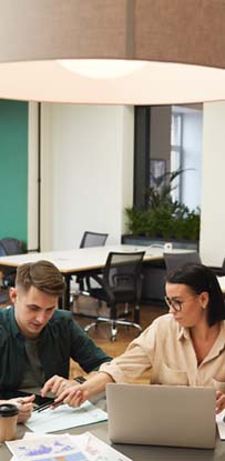 Some public reputation tools report a low trust score for g